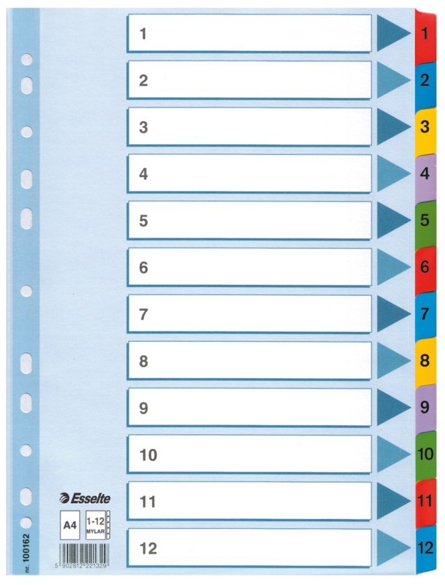 Kartongregister Esselte Mylar A4 1-12 - A4 - 1