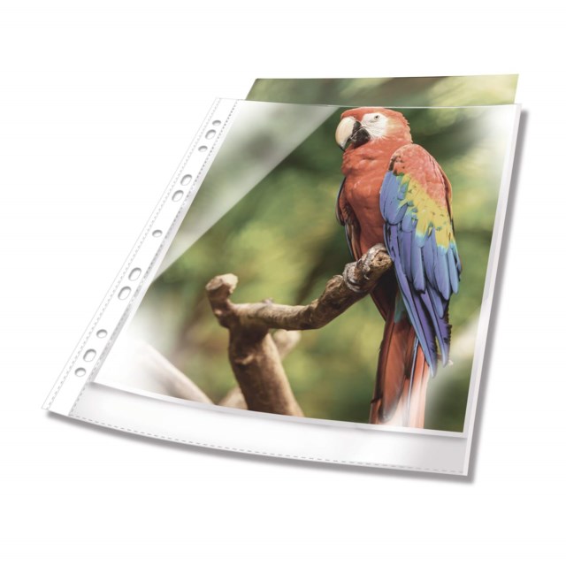 Hålad plastficka PREMIUM färgad kant, 25 st - 1