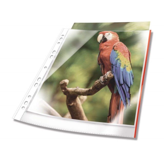 Hålad plastficka PREMIUM färgad kant, 25 st - 1