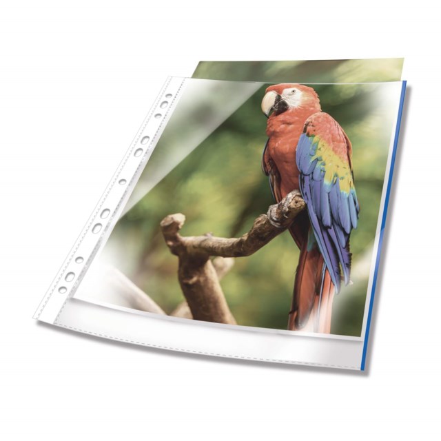 Hålad plastficka PREMIUM färgad kant, 25 st - 1