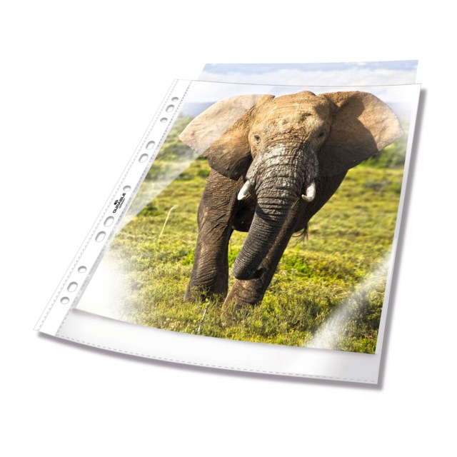 Plastficka för pärm BUSINESS A4 PP 100 st/påse - 1