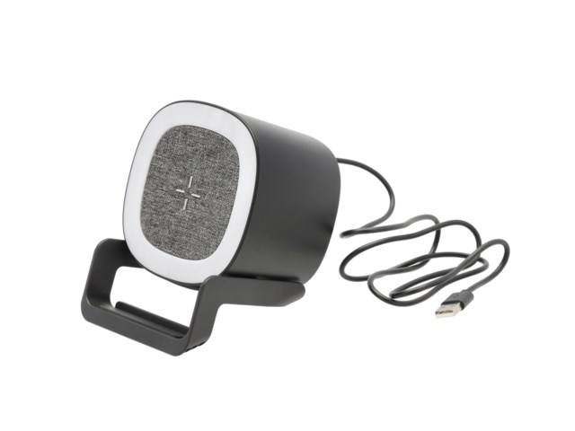 Högtalare med Laddare och Lampa - 1
