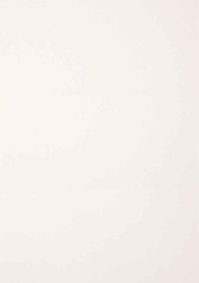 Standardblankett A4 3st otryckta talonger 900ark/fp - A4 - 1