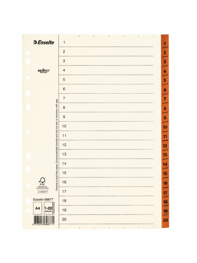 Pappersregister Timing Mega A4 1-20 brun - A4 - 1