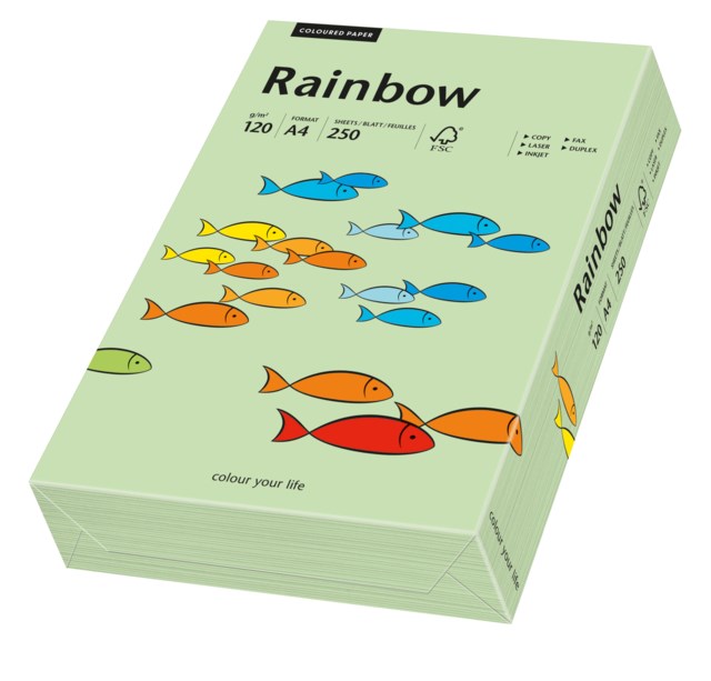 Papper Rainbow A4 120g mellangrön 250ark/fp - A4 - 1
