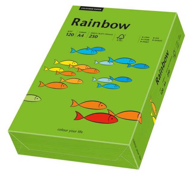 Papper Rainbow A4 120g intensivgrön 250ark/fp - A4 - 1