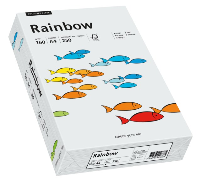 Papper Rainbow A4 160g ljusgrå 250ark/fp - A4 - 1