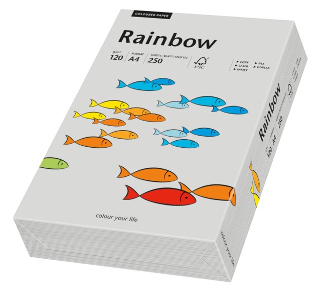 Papper Rainbow A4 120g grå 250ark/fp - A4 - 1