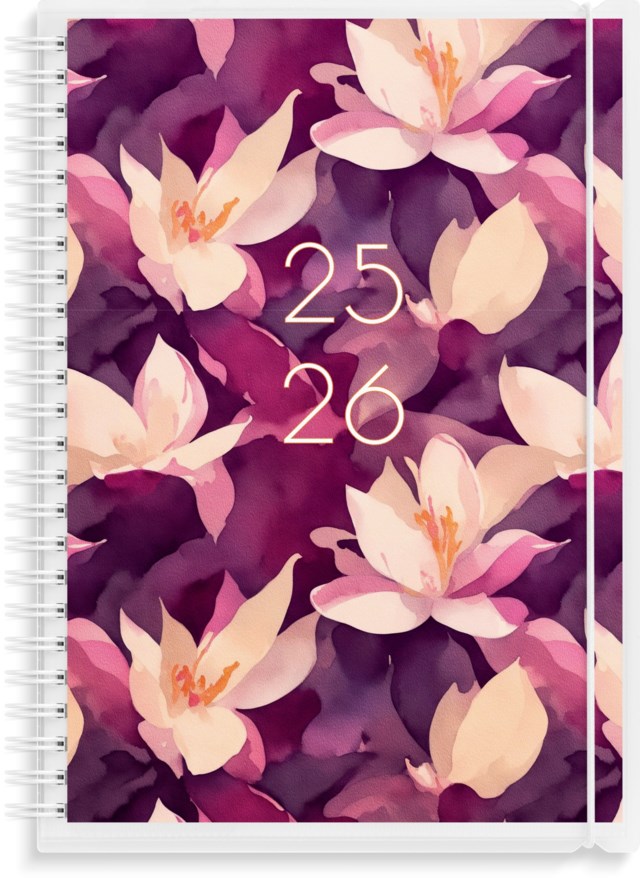 Almanacka 8121 Study A5 4-i-1 25/26 - 1