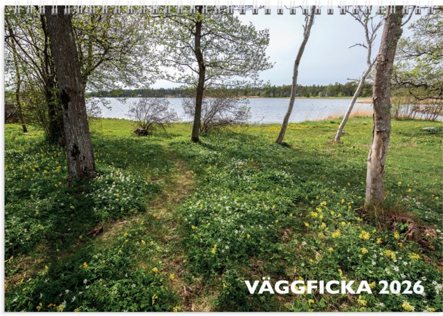 Almanacka Burde Väggkalender Väggficka - 1