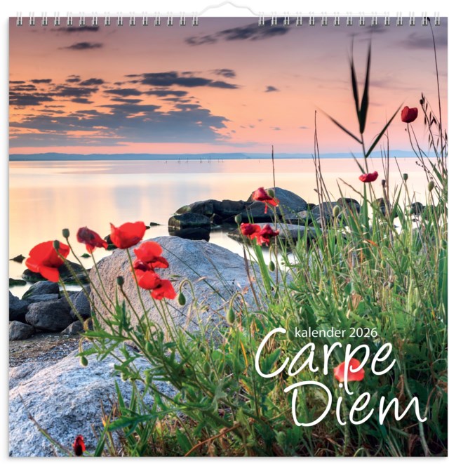 Almanacka Burde Väggkalender Carpe Diem - 1