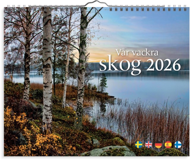 Almanacka Burde Väggkalender Vår vackra skog - 1