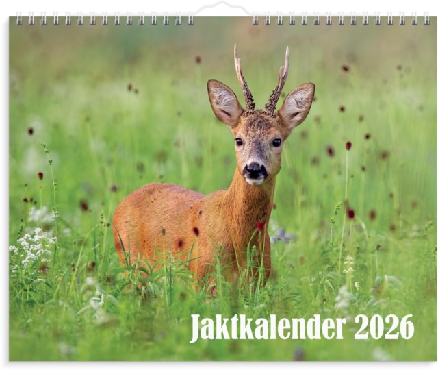 Almanacka Burde Väggkalender Jaktkalender - 1