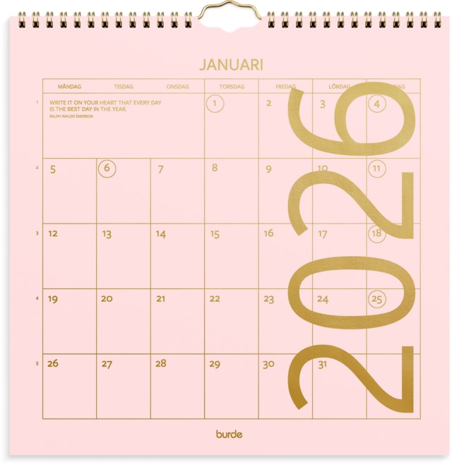 Almanacka Burde Väggkalender Color - 1