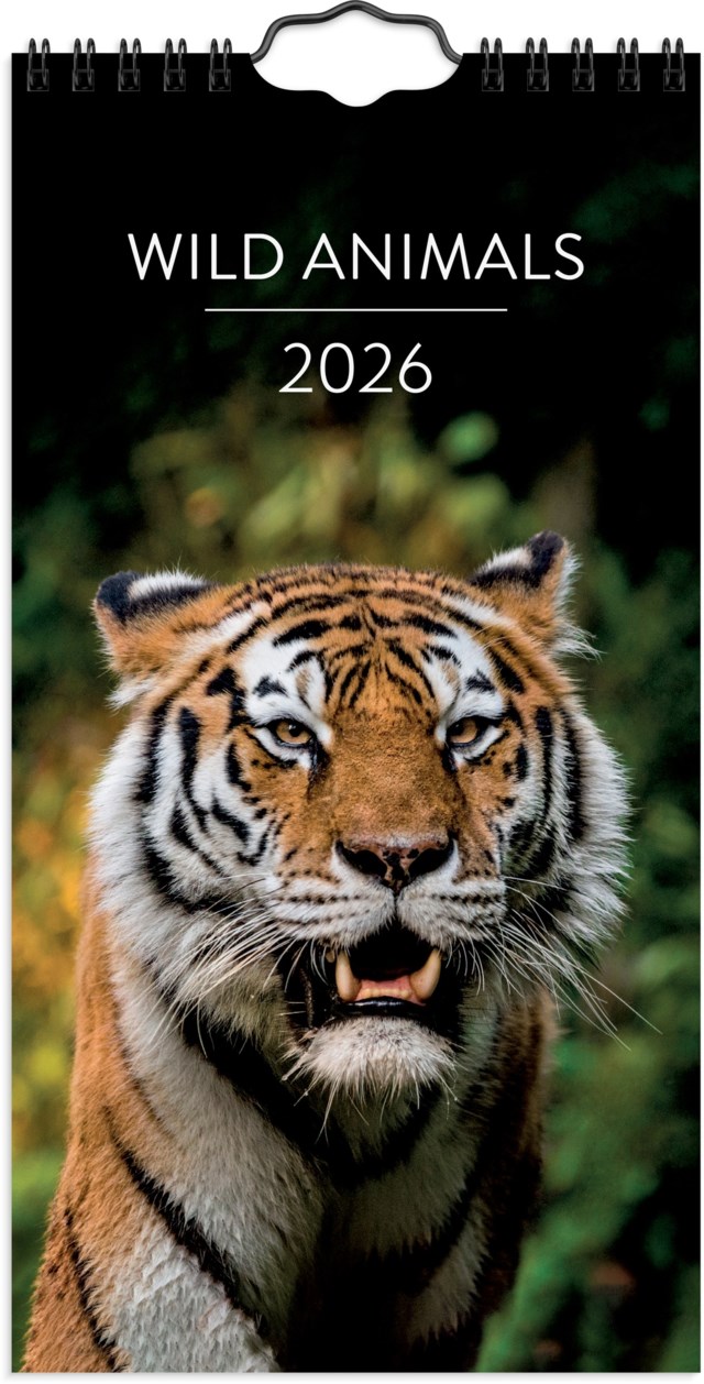 Almanacka Burde Väggkalender Wild animals - 1