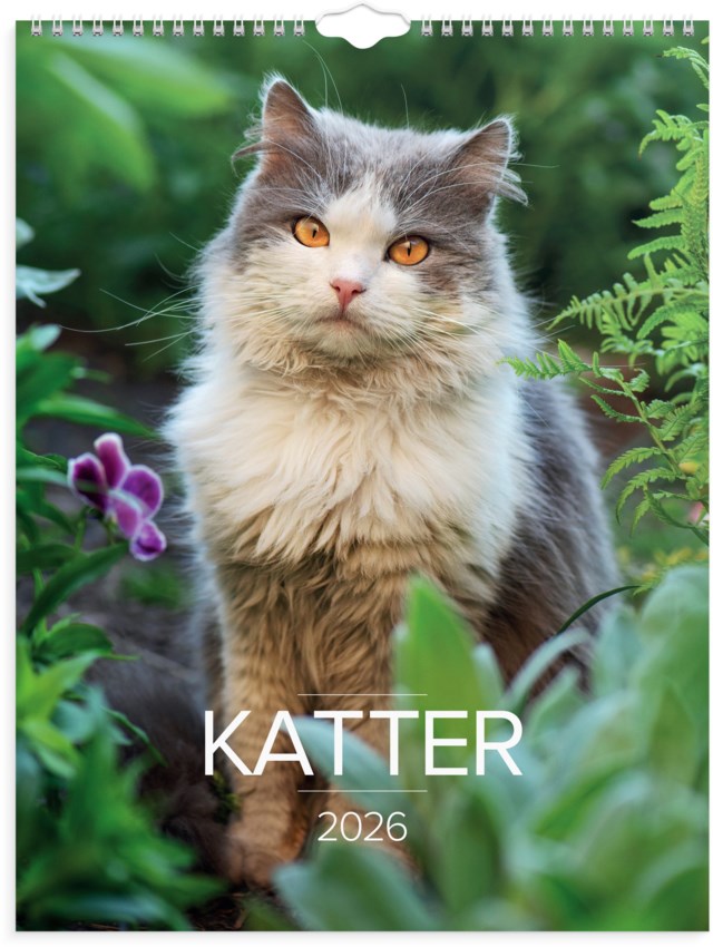 Almanacka Burde Väggkalender Stora Kattkalendern - 1