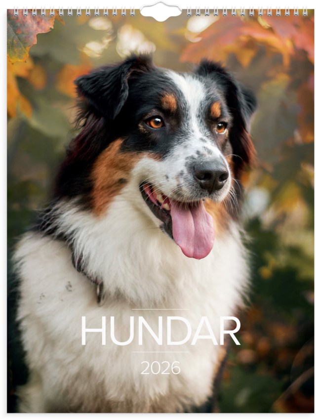 Almanacka Burde Väggkalender Stora Hundkalendern - 1