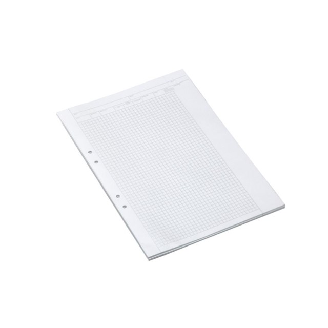 Provskrivningsblad A3 rutat 5x5mm med tryck 250/fp - A3 Rutat - 1