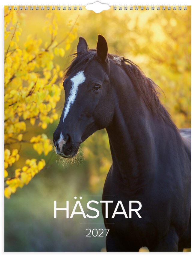 Almanacka Burde Väggkalender Stora Hästkalendern - 1