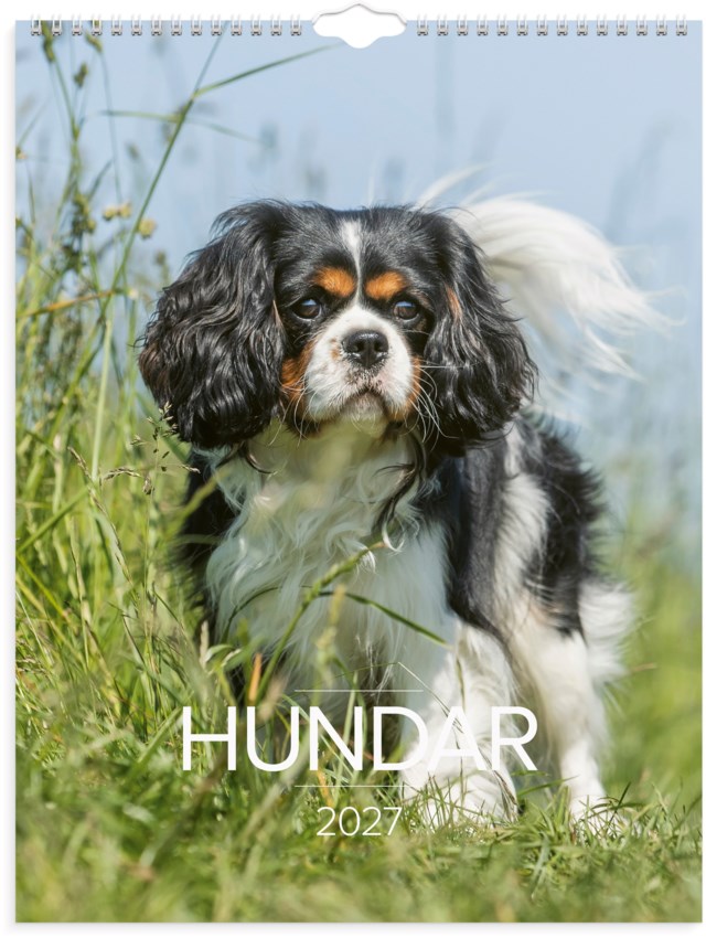 Almanacka Burde Väggkalender Stora Hundkalendern - 1