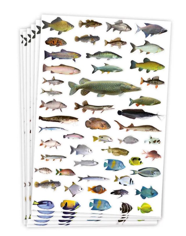 Stickers Playbox Fiskmotiv, självhäftande, 300 st - 1